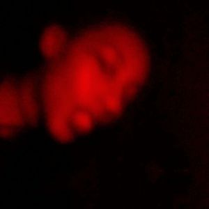 Meet your Posher, Jeriah